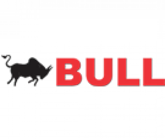 Bull