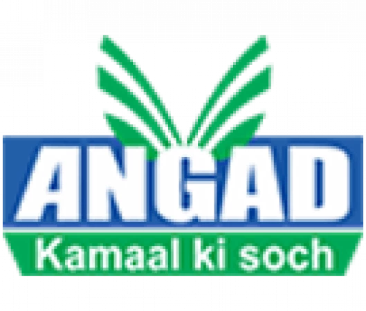 Angad
