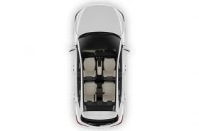 ZS EV