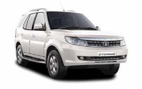 SAFARI STORME