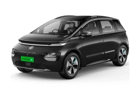 Windsor EV