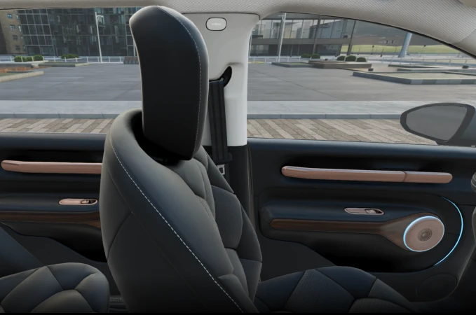 Windsor EV