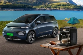 Windsor EV