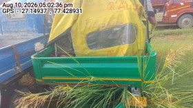 rear_view