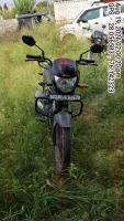  HONDA SHINE