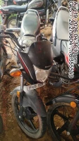  HONDA SHINE