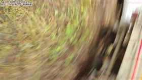 rear_view