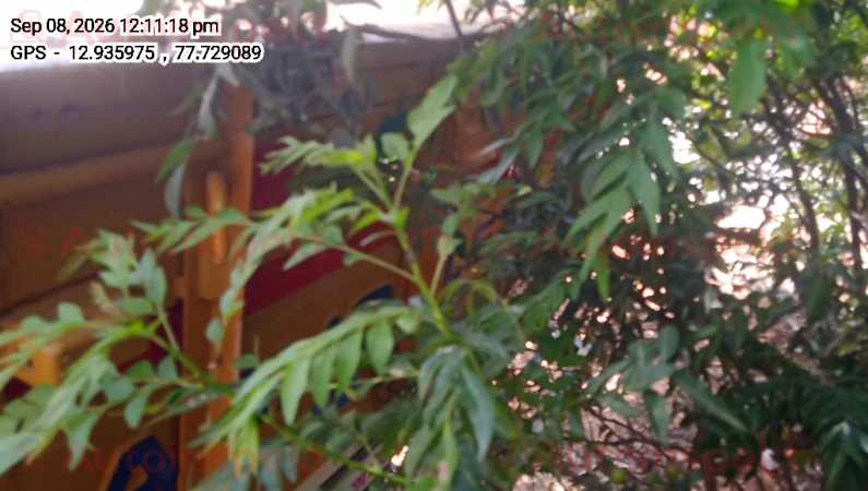rear_view