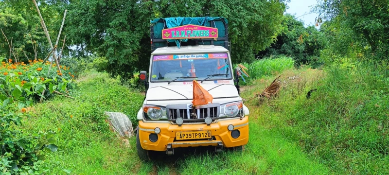 MAHINDRA BIG BOLERO PICK UP