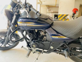 Bajaj Avenger 150 Street