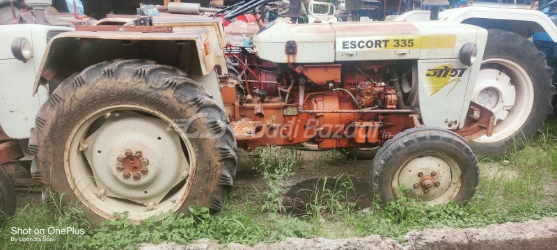 Escorts 335