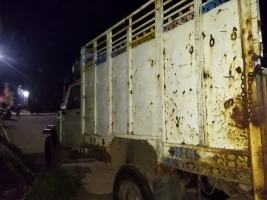 MAHINDRA Bolero Pik-Up