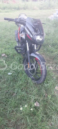 Olx pulsar online 125