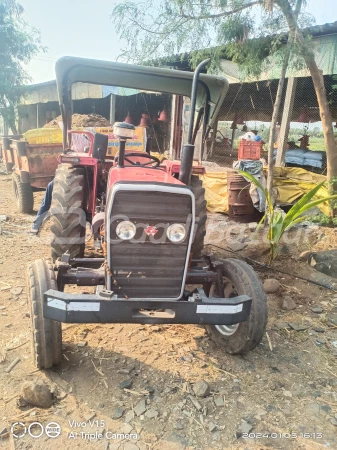 Tafe (massey Ferguson) 35di