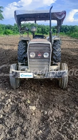 Tafe (massey Ferguson) Mf 1134 Di