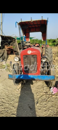 Tafe (massey Ferguson) 30 Di Orchard Plus