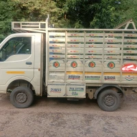 TATA MOTORS Ace Gold Diesel
